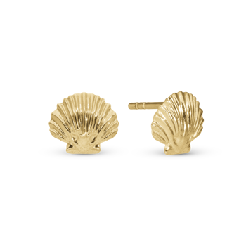 Christina Clam Shell ørestikker – forgyldt sølv
