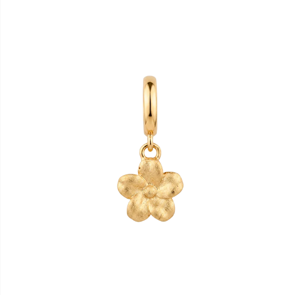 Christina Flower Grace charm – forgyldt sølv, 6 mm til Classic læderarmbånd