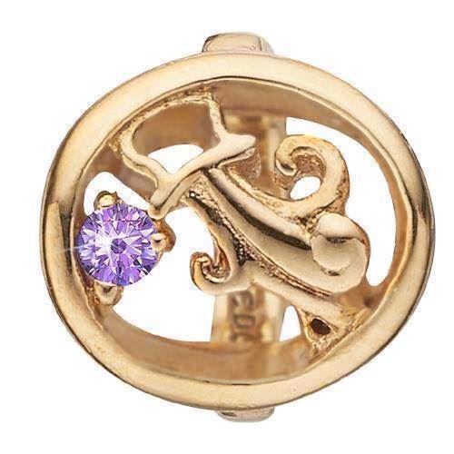 Christina Stjernetegn Vandmand charm – forgyldt sølv, 6 mm til Classic læderarmbånd