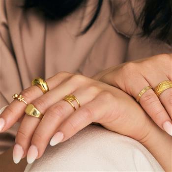 Aagaard Ring, doughnut