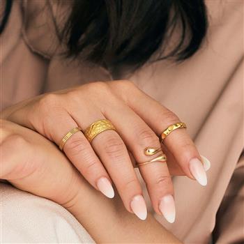 Aagaard Ring, facet