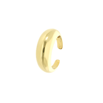 Aagaard Ring, doughnut
