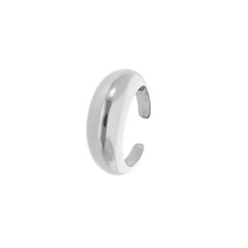 Aagaard Ring, doughnut